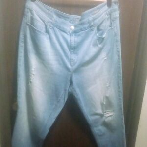 Melissa McCarthy Seven7 Distressed Girlfriend Cuffed Jeans